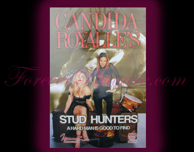 Candida Royalle's 'Stud Hunters'